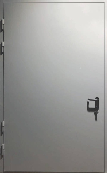 Противопожарная дверь Однопольная нестандартная противопожарная глухая дверь EI 60 широкая RAL 7040 (13)