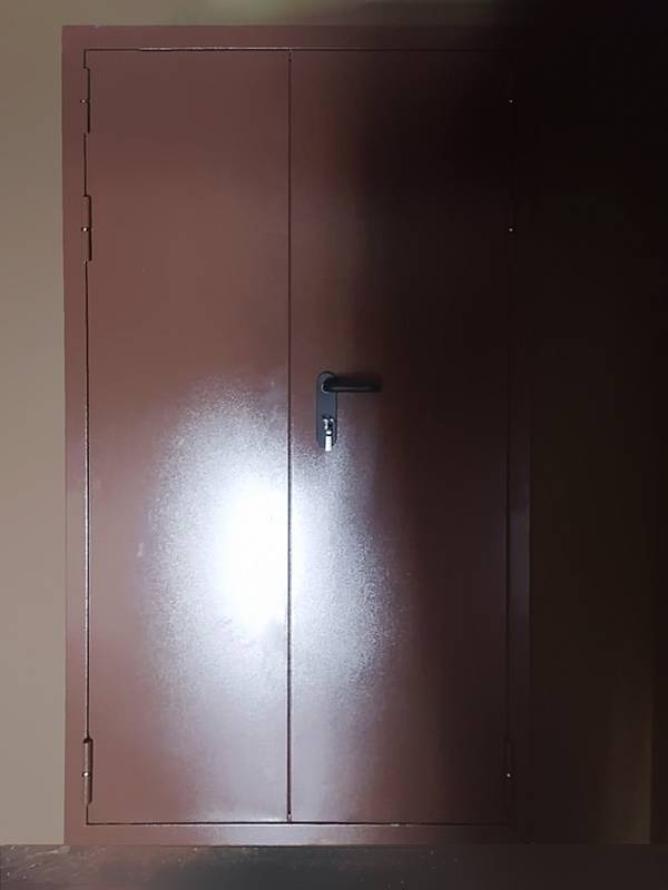 Нестандартная двупольная дверь (ул. Звенигородская, 5) Нестандартная двупольная дверь (ул. Звенигородская, 5)