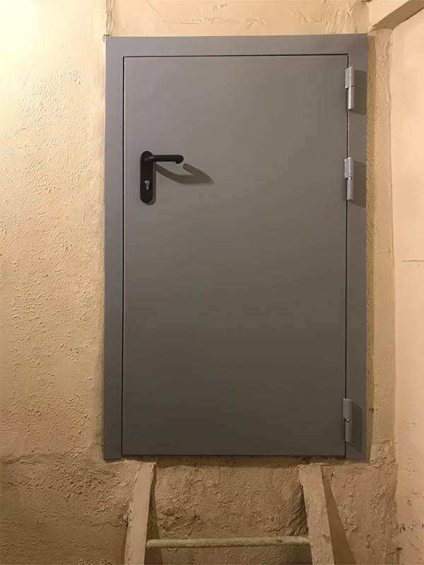 Нестандартная глухая дверь (ул. Крупской) Нестандартная глухая дверь (ул. Крупской)