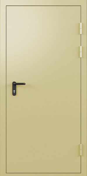 Однопольная глухая противопожарная дверь EI 30 RAL 1014 (не стандарт) (03)