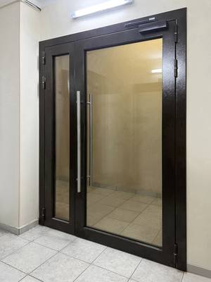 Светопрозрачная стальная дверь Светопрозрачная стальная дверь